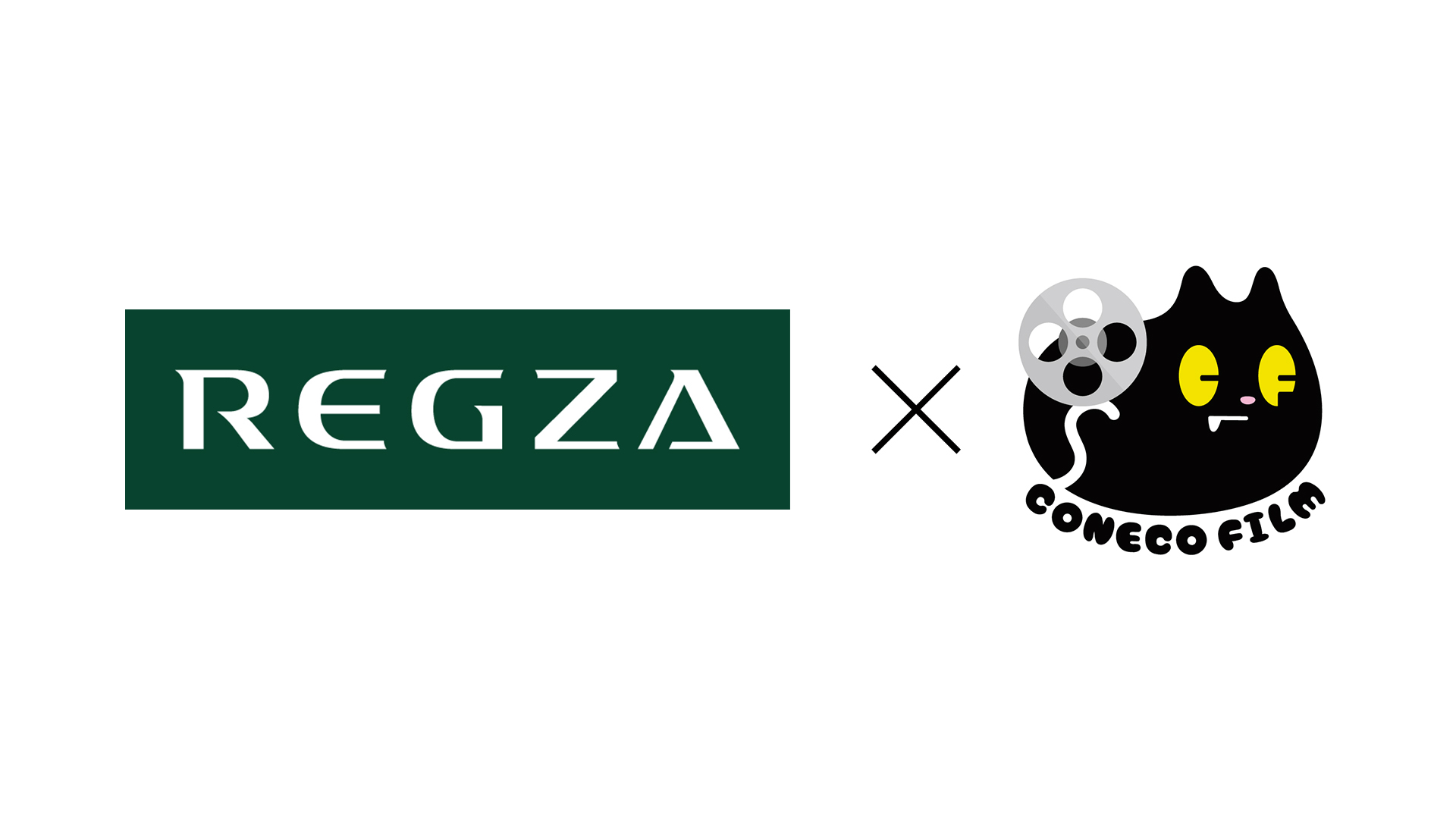 TVS REGZA × 人気クリエイターチーム「こねこフィルム」コラボレーション施策